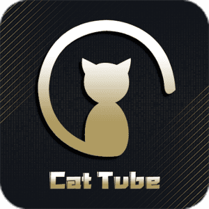 Lee más sobre el artículo Cat Tube ¿Te pagan por ver videos? [Review]