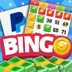 Bingo de dinero: efectivo real – ¿App legitima o scam? [Review]