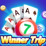 Winner Trip: Bingo & Solitaire – ¿App legitima o una estafa?