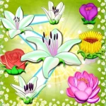 Flower Blast – ¿Una nueva app para ganar dinero?