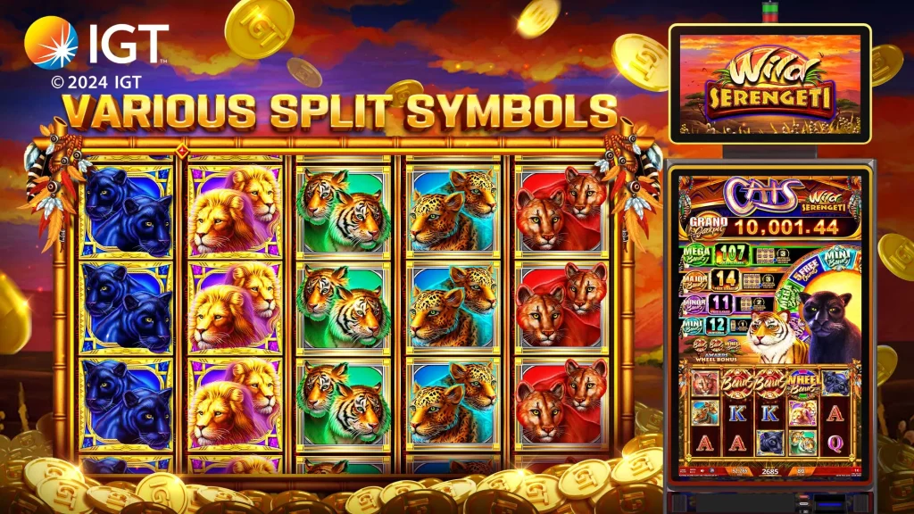 Cash Rally - Slots Casino Game app