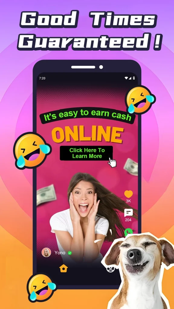 VidVibe paga